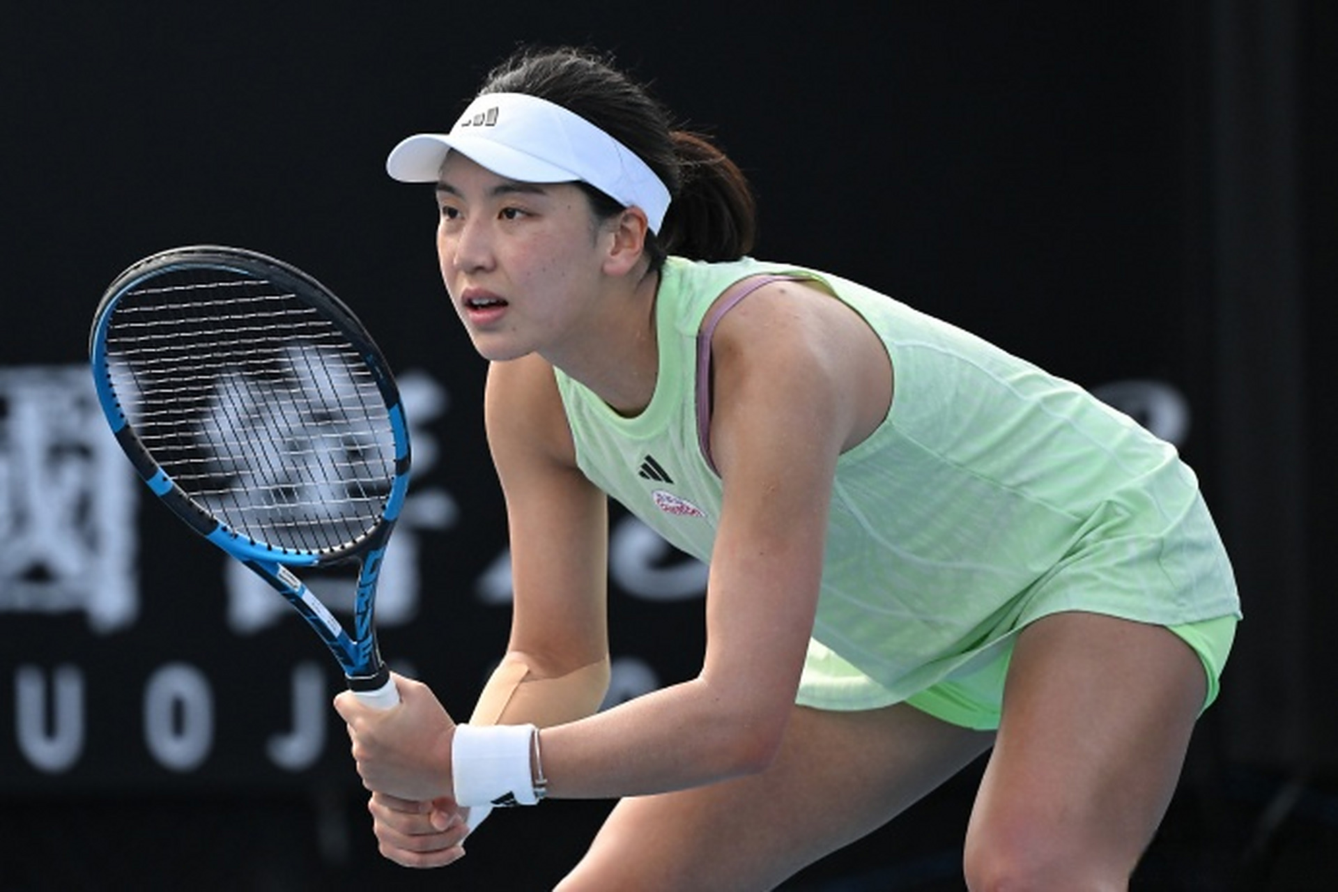 应以身体条 应以身体条