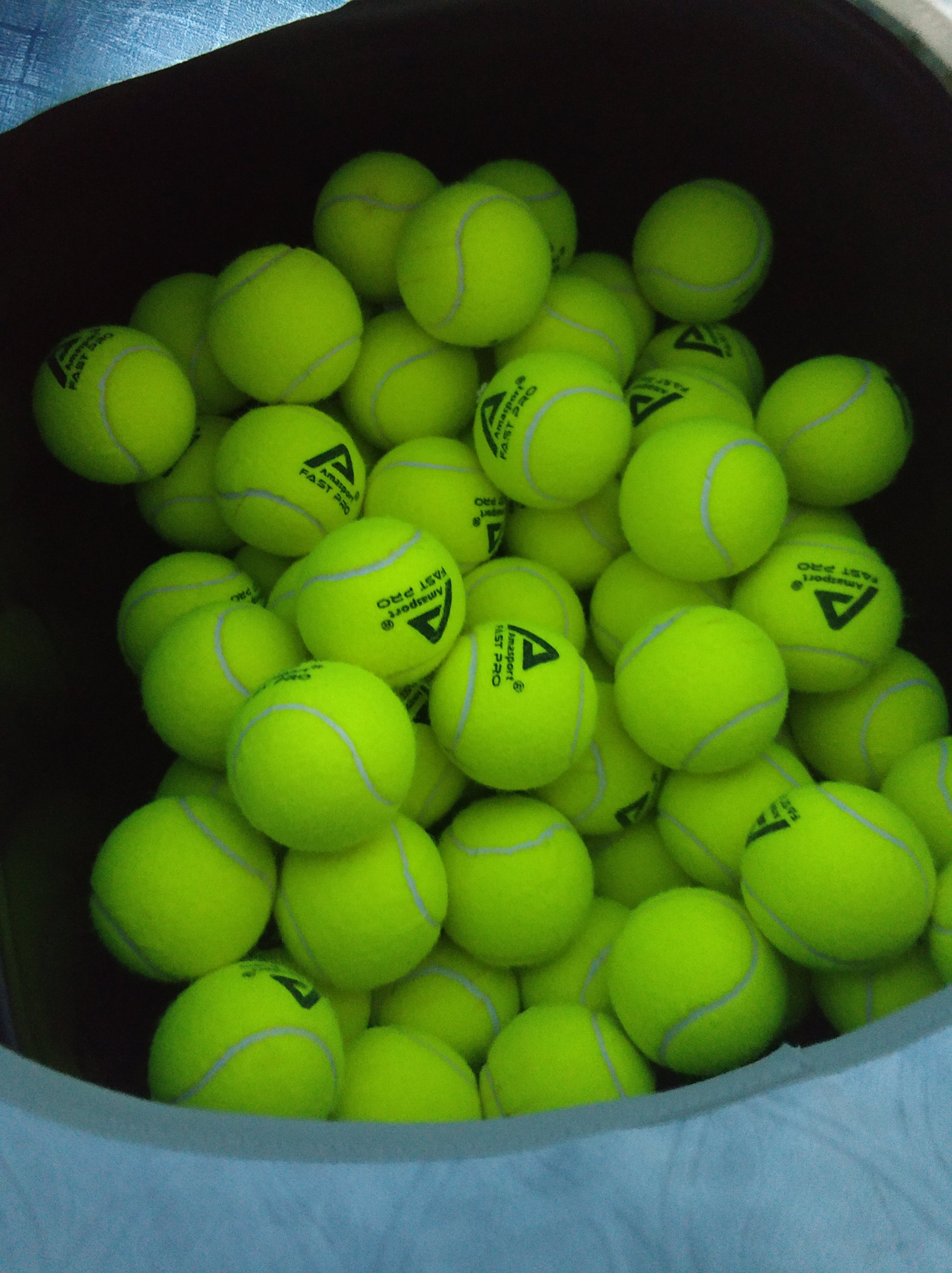 跳水世界杯 跳水世界杯