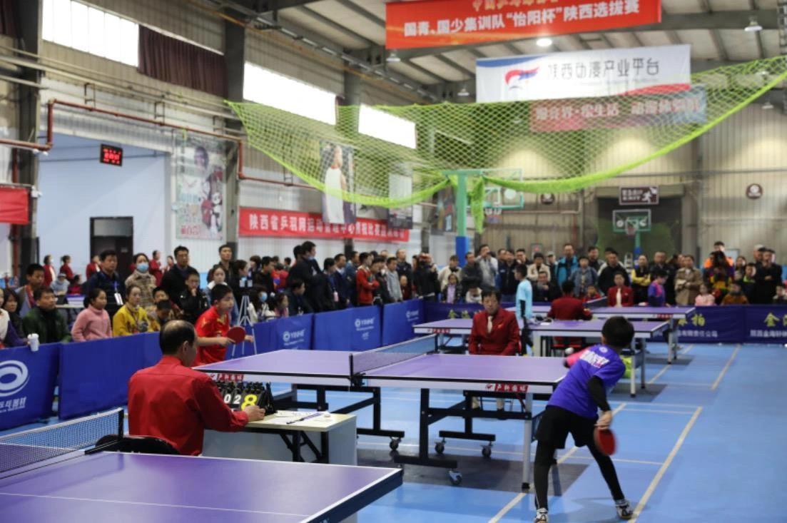 顺德新青年 顺德新青年