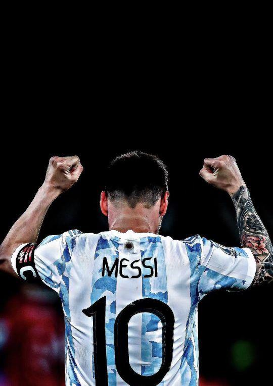 一旦定型 一旦定型